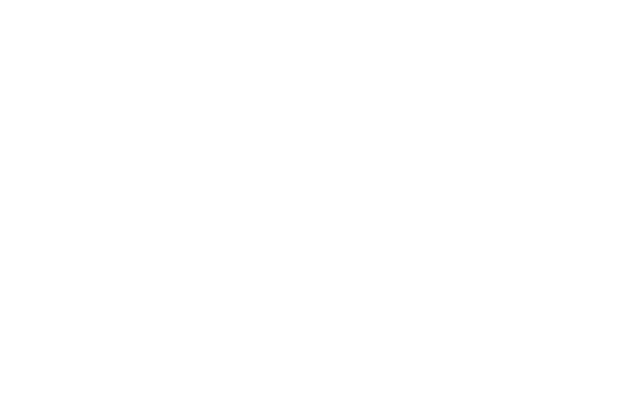 The Professionals in Fan Manu-facturing